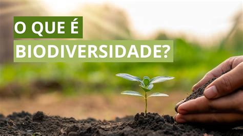 O Que é Biodiversidade Importância Da Ciência Na Conservação Das Espécies E Seus Habitats