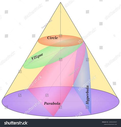 Circle Ellipse Parabola Hyperbola Curved Conic Stock Vector Royalty Free 2295203557 Shutterstock