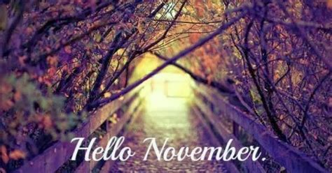 FOCAL POINT STYLING: HELLO NOVEMBER - LATE FALL INSPIRATIONS