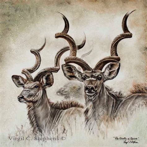 Kudu Art The Ghosts Of Africa Print Of A Couple Of Kudu In Kimberley