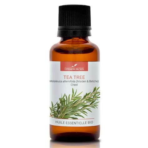 Olio Essenziale Tea Tree Oil 30ml Melaleuca Alternifolia