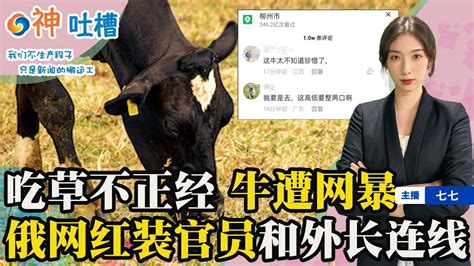 吃草不正经 牛遭网暴；余额二毛五 骗子无语；牛羊放屁 农场要缴气体排放税；俄网红装官员和外长连线；女子不知中奖两千万；无法挂挡报警求助 是车没