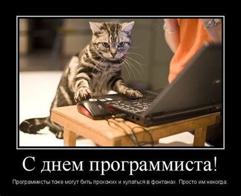 Гифки с днём Программиста 12 Сентября 2024 (50 gif картинок) | Giffs.ru