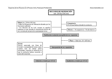 Reposici N Derecho Procesal Penal Los Recursos En El Proceso