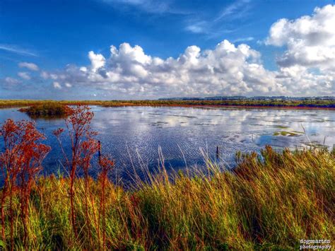 Titchwell Marsh Nature Reserve A View Over The Brackish Ma Flickr