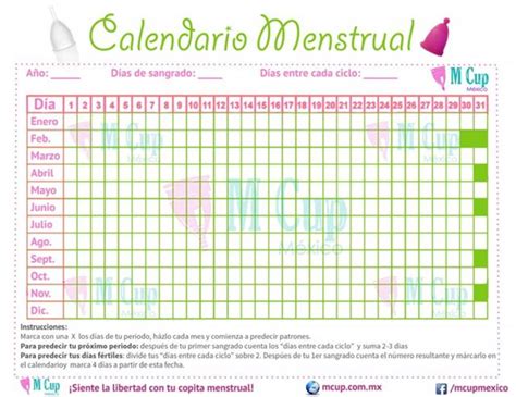 Todo Lo Que Debes Saber Sobre C Mo Llevar El Calendario Menstrual