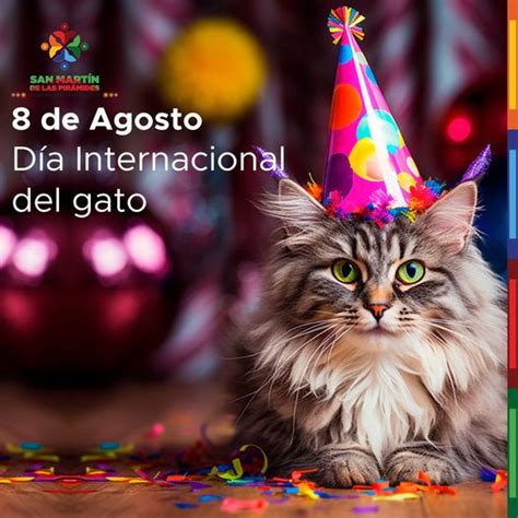 Celebremos Juntos El D A Internacional Del Gato Estado De M Xico