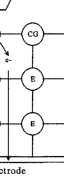 Figure Schematic Representation Of An Enzyme Electrode E Enyzme Cg