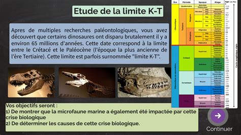 Chronologie Relative Utilisation Des Fossiles