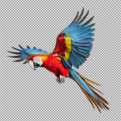 Premium Psd Scarlet Macaw Parrot Flying Isolated On White Background