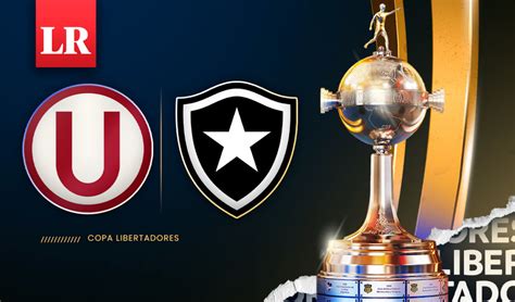 Resumen Y Goles Universitario Vs Botafogo Por La Copa Libertadores