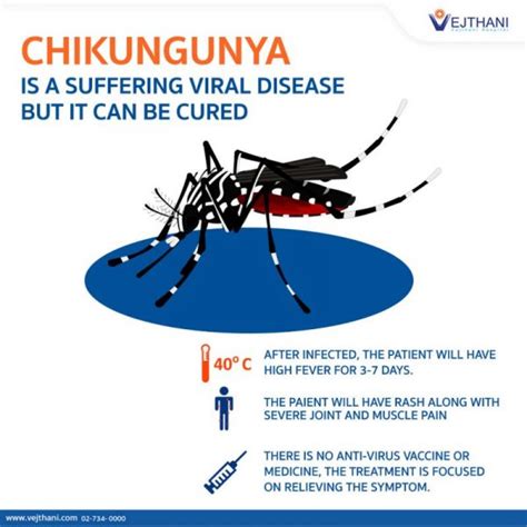 Chikungunya Can Be Cured And Prevented Vejthani Hospital Jci