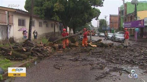 Ap S Temporal Rvore Cai E Paralisa Tr Nsito Na Rua Jovino Dino No