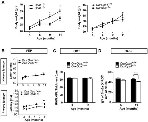 Ovariectomy Abolishes Sex Differences In Adoa Phenotype Ovx