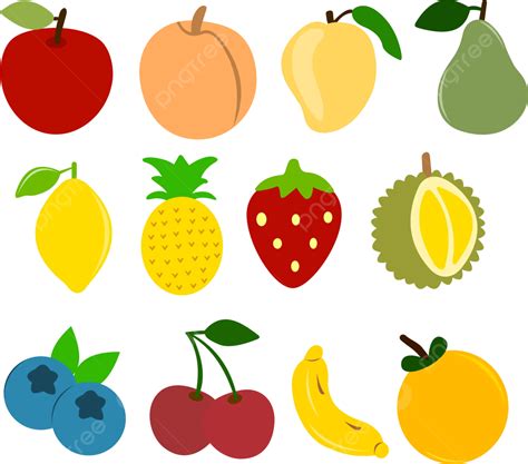 Fresh Fruit Vector Fresh Fruits Fruit Png And Vector With