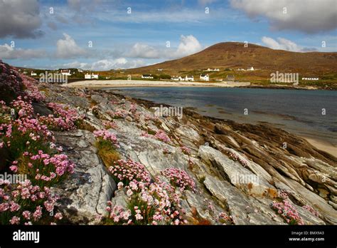 Dooega Bay And Beach With Knockmore Mountain And Foreground Thrift