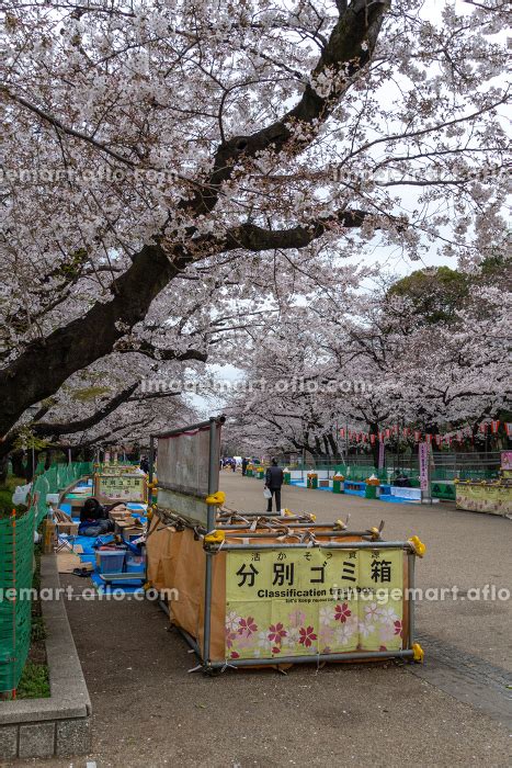 上野恩賜公園の桜の写真素材 141083298 イメージマート