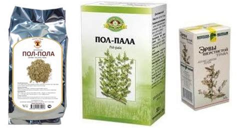 Лечебная трава пол-пола - МедИнфо