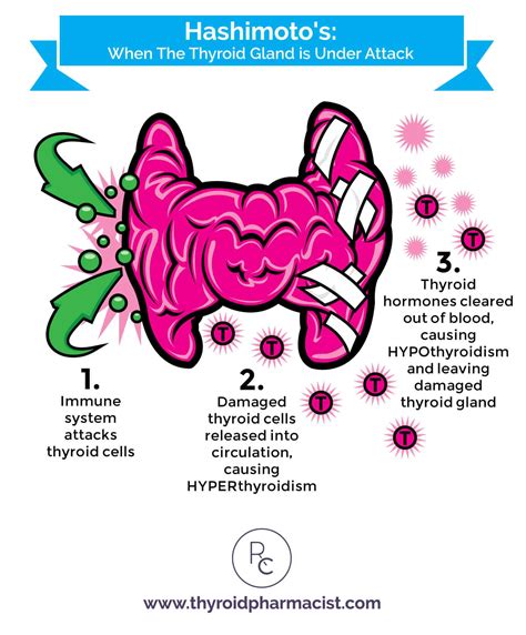 The Many Faces Of Hashimotos Disease Dr Izabella Wentz