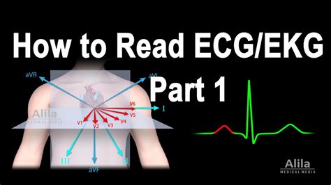 How To Read Ecgekg Part 1 Animation Youtube