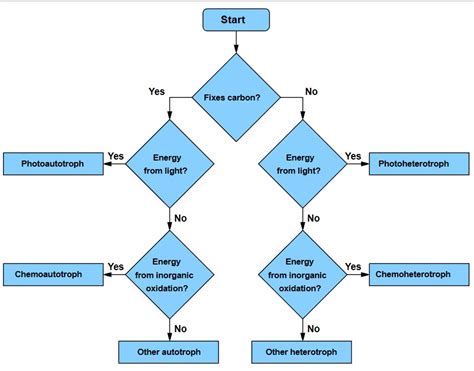 Nutrition In Bacteria — Lesson Science State Board Class 9