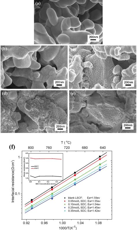 Sem Images Of The Cross Section Of Lscf Cathodes A Blank Lscf