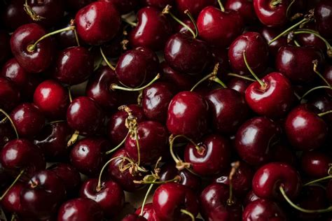 Cherry Daiquiri 4 Fresh Cherry Daiquiri Recipe Ideas To Try