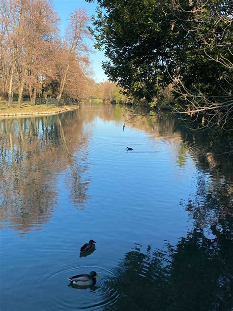 Fiume Sile A Villa Letizia Parco Regionale Del Fiume Sile