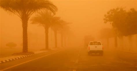dream  sandstorm indication  storm   life