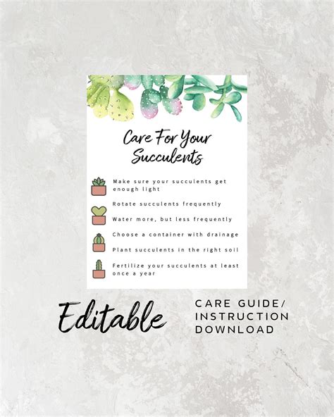 Simple Succulent Care Instructions Printable