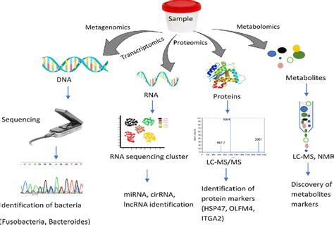 The Omics Scheme In This Scheme It Has Been Shown That Multi Omics