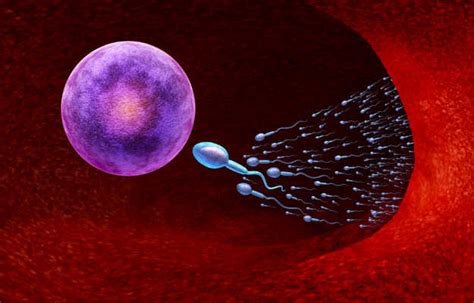 शुक्राणु की कमी के लक्षण कारण और निदान Low Sperm Count Symptoms