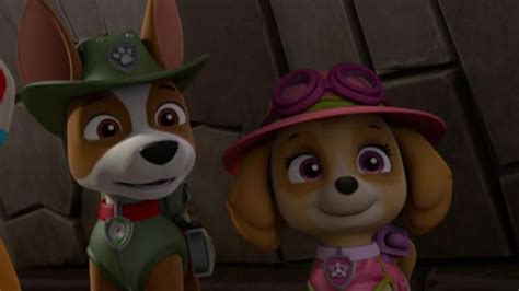 Tracker And Skye Paw Patrol Relation Ship Wiki Fandom