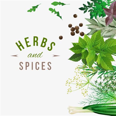 Fresh Herbs Store Emblem Royalty Free Vector Image