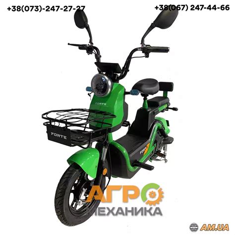 Электроскутер Forte GS500 (Зеленый) купить в Киеве (120336) - Агромеханика