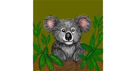 Drawing of Koala by KayXXXlee - Drawize Gallery!