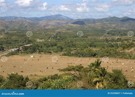 Rural Panorama Near Trinidad In Cuba Stock Image Image Of Trinidad