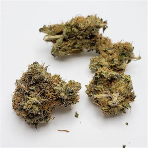 Strain Review: Mint Chocolate Chip by Genesis Bioceuticals | 12/15/2021 | Grumpy Ganja