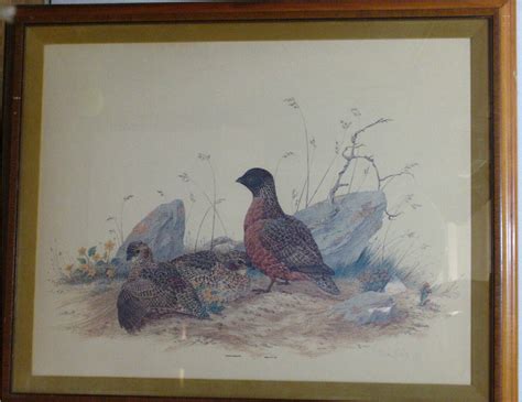 Robin Hill Naturalist Artist Masked Bobwhite Print Signed 1978 Ebay