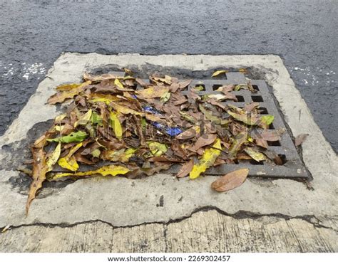 Street Water Drain Blocked Leaves Debris Stock Photo 2269302457