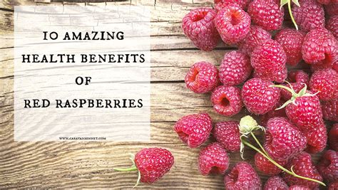 Amazing Benefits Of Red Raspberries Caravan Sonnet