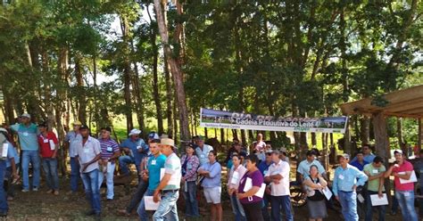 Roncador Emater Realiza Dia De Campo Sobre Bovinocultura De Leite