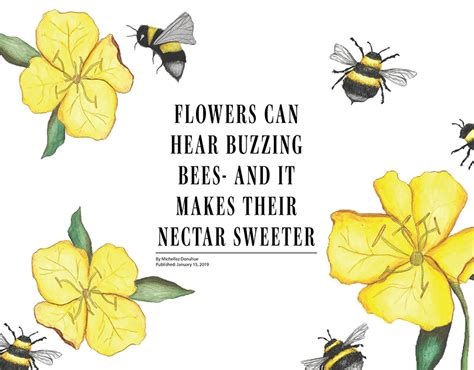 Scientific Illustration Flower Can Hear Buzzing Bees Behance