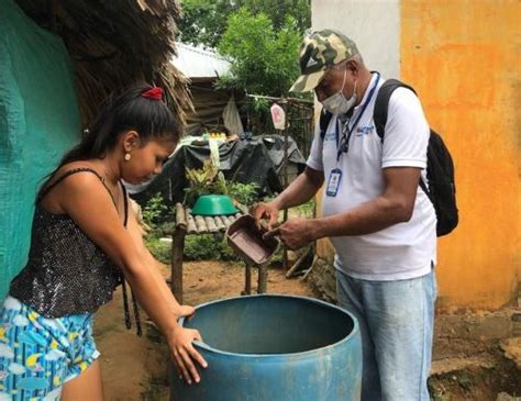 San Mart N Diresa Refuerza Acciones Para Mitigar Casos De Dengue En La