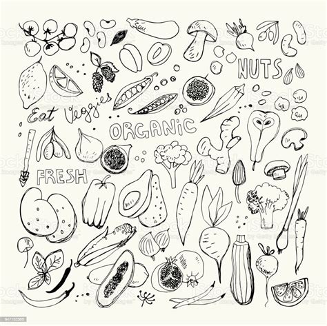 Organic Fruits And Vegetables Hand Drawn Doodles Corn Potato Mushroom