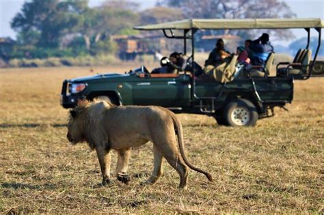 10 Day Explore Kafue National Park Southern Dynasty Safaris