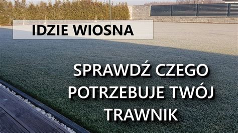 TRAWNIK WIOSNĄ trawnik po zimie sprzątanie trawnika badanie gleby