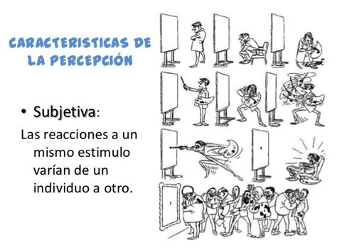 Principios De Percepción