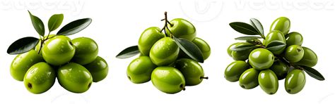 Olive Fruit Isolated On Transparent Background Olives Isolated Cut Out