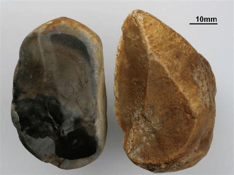 Artifacts with eolian corrasion of the rock edges. | Download Scientific Diagram